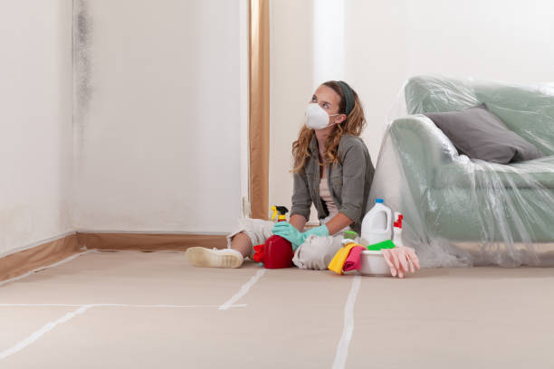 Reliable Mold Remediation contractor in Clinton, NY by WQB Mold Removal